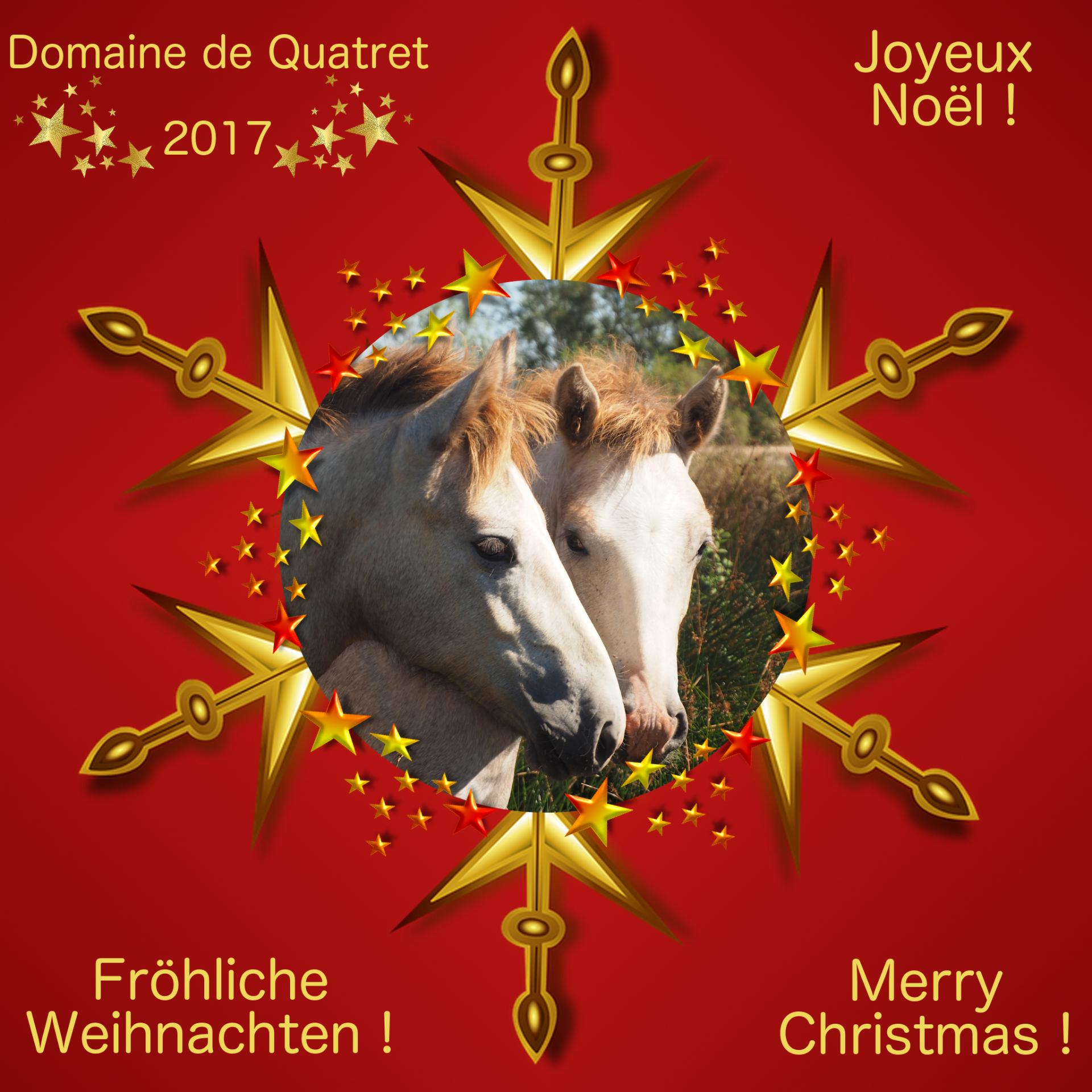 Joyeux Noël 2017