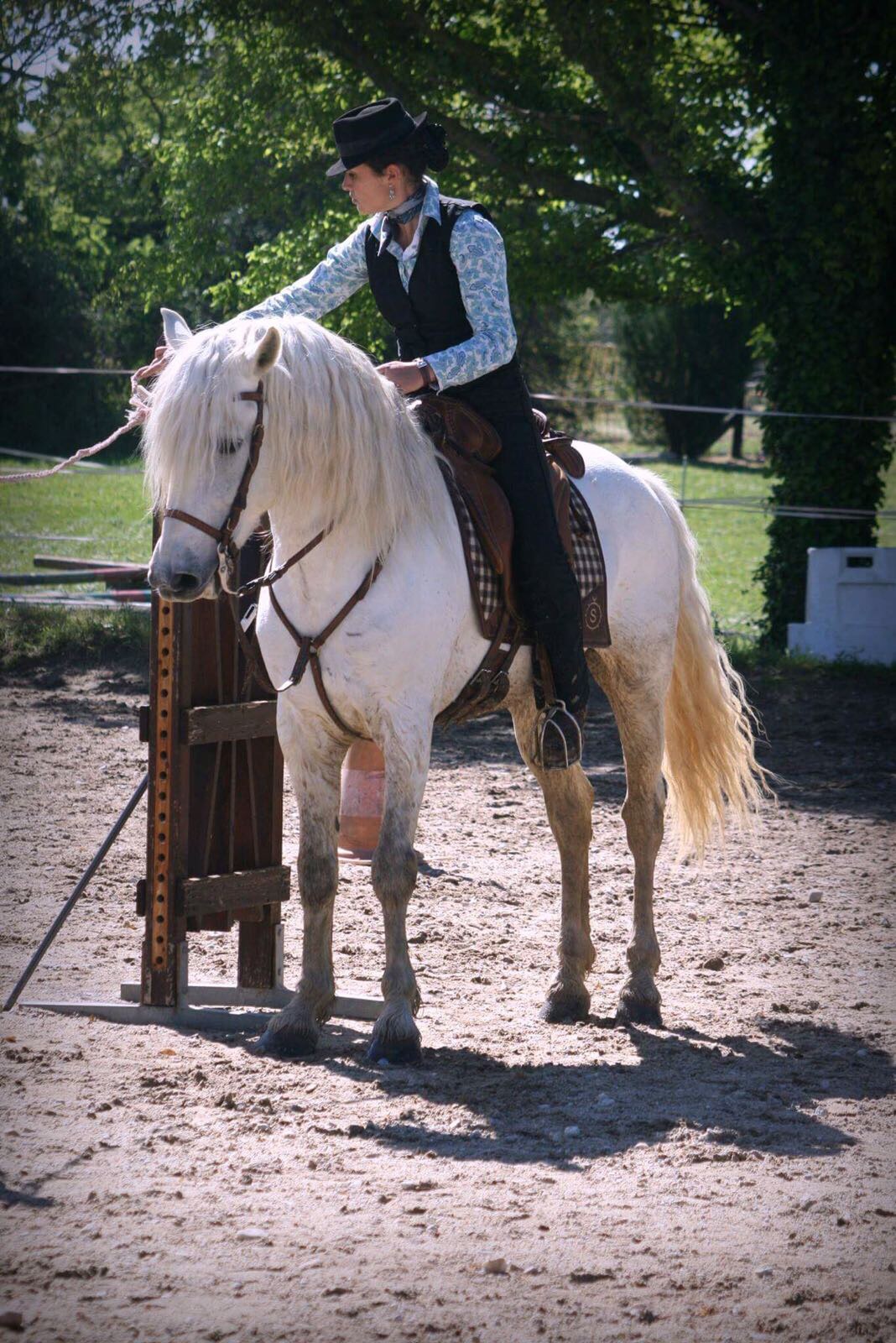 Vizir des Iscles (2009)